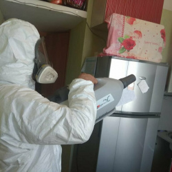 Уничтожение насекомых в квартире. Площадь Восстания